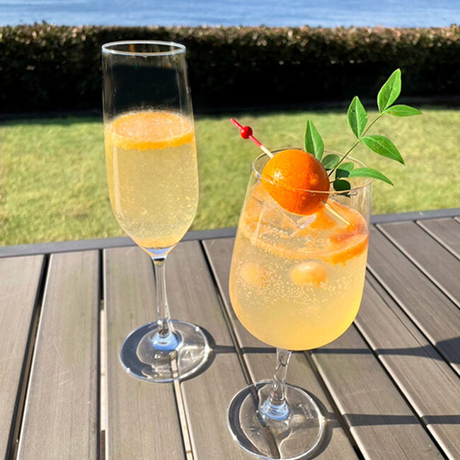 お正月限定ドリンク登場！【リビエラ逗子マリーナ】リストランテAOとマリブファームは元日から営業します