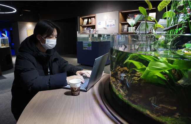 水族館で水槽を眺めながら”コワーキング”できるカフェスペースが新登場！「ちょっとした空き時間」や「一息つく時間」におすすめ！【スマートアクアリウム静岡】