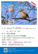 チラシ(表) チラシ(表)