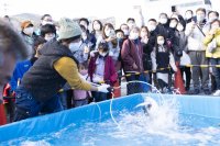 「第30回伊東温泉めちゃくちゃ市」1/27・28に静岡県で開催！～伊豆半島の特産品を“めちゃくちゃ市”特別価格で買える～