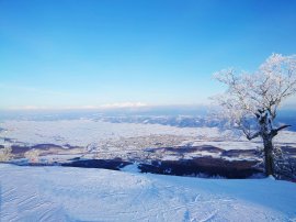 写真01 写真01