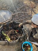 コンポスト(食べ残しを入れているところ) コンポスト(食べ残しを入れているところ)