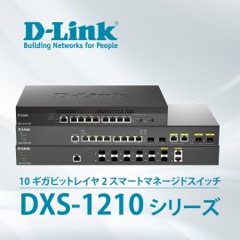 DXS-1210_B1_Series