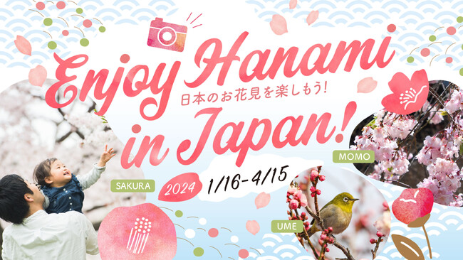 【日本の四季紹介】春節到来！梅から始まる日本のお花見を楽しもう