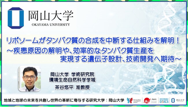【岡山大学】リボソームがタンパク質の合成を中断する仕組みを解明！～疾患原因の解明や、効率的なタンパク質生産を実現する遺伝子設計、技術開発へ期待～