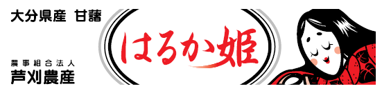 糖度60度超になることも！？甘さ異次元の焼き芋登場！３年で売上が５倍に伸長している綿半の焼き芋シリーズに長野初！新品種「はるか姫」が仲間入り！