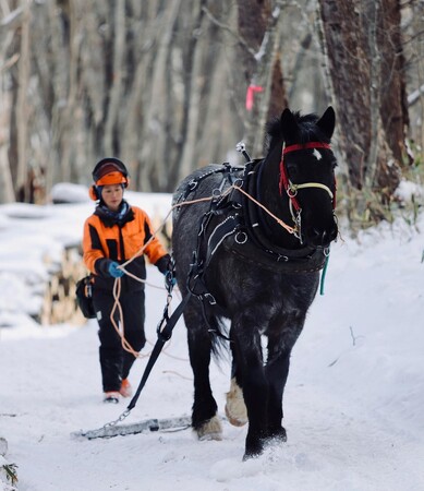 ひと味違うHOKKAIDOの新しい雪体験を楽しむ！『北海道の木で雪板づくり！SNOW SURFING クラフト&アクティビティツアーin厚真町』モニターツアーを実施