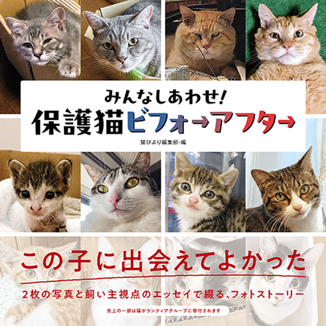 「出会った頃」と「現在」2枚の写真と、飼い主目線のエッセイで綴る物語『みんなしあわせ！ 保護猫ビフォーアフター』が2月13日に発売！