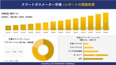 スマートガスメーター市場の発展、傾向、需要、成長分析および予測2024ー2036年