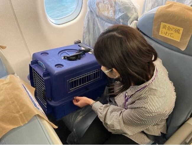 FDA　愛犬と一緒に搭乗するチャーター便ツアー「ワンダホーフライト」を実施します