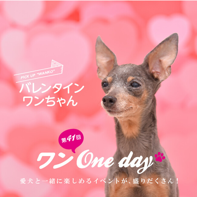 【湘南T-SITE】“バレンタインワンちゃん”集まれ。「ワン One day!」を2/4(日)に開催