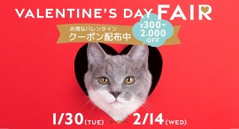 愛するペットに贈る♪OFTSTOREでは、バレンタインクーポンがもらえる“バレンタイン フェアがスタートします♪ 愛するペットに贈る♪OFTSTOREでは、バレンタインクーポンがもらえる“バレンタイン フェアがスタートします♪