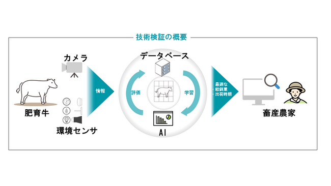 牛の給餌量と出荷時期の最適化を目指す畜産DXの技術検証実施について