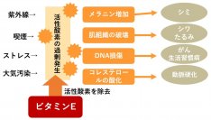 受験シーズンに向けてコラム公開！春の「ここ一番」はアーモンドでストレス対策＆血流改善！アーモンドミルクの嬉しい効果を解説