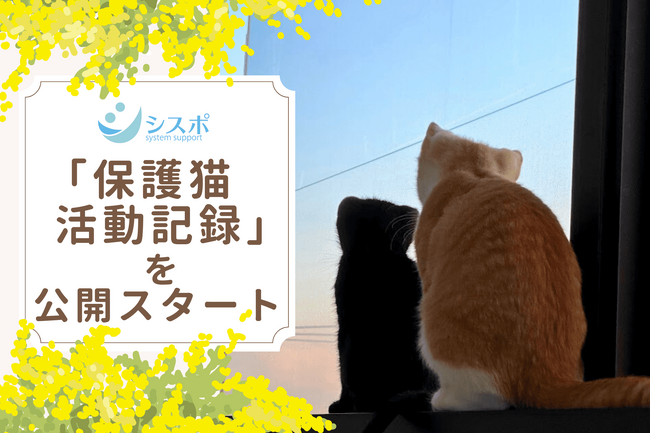 医療機関、動物病院の会計やDX化をトータルサポートするシスポ、金沢営業所でのCSR活動を「保護猫活動記録」として公開
