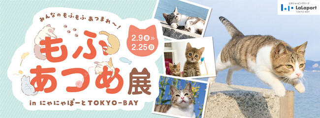 三井ショッピングパーク ららぽーとTOKYO-BAY】猫写真家「五十嵐健太」を迎えた猫企画「もふあつめ展 in にゃにゃぽーとTOKYO-BAY」を開催！