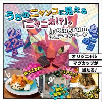 ペットのニャンコに見える『ナニか』を投稿してオリジニャル マグカップが当たるキャンペーンが2月2日開始