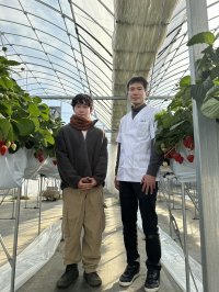 尼崎の和菓子店「菓匠 彩花苑」にて尼崎産いちごを使った和スイーツを新発売