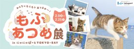 イメージ1