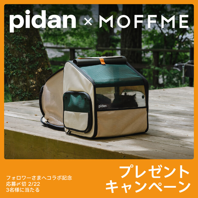 猫の日を記念して！ペット保険比較・相談サービス【MOFFME】が【pidan】とコラボキャンペーンを開催