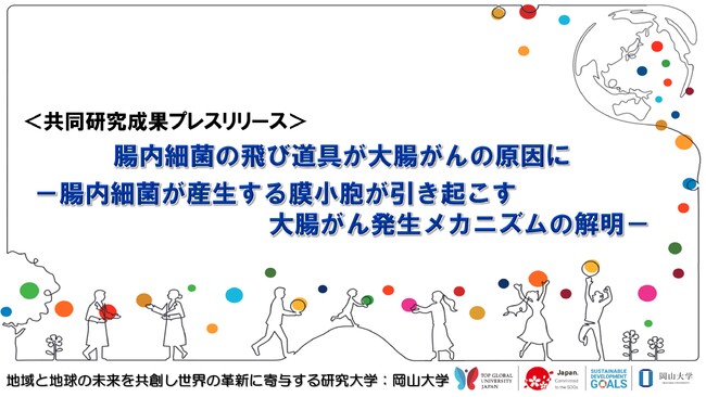 腸内細菌の飛び道具が大腸がんの原因に-腸内細菌が産生する膜小胞が引き起こす大腸がん発生メカニズムの解明-〔東京大学、岡山大学、科学技術振興機構〕