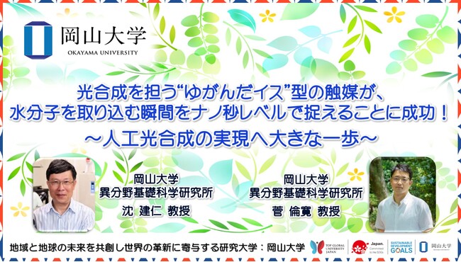 【岡山大学】光合成を担う“ゆがんだイス”型の触媒が、水分子を取り込む瞬間をナノ秒レベルで捉えることに成功！ ～人工光合成の実現へ大きな一歩～