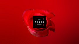 VIVID THE STORE