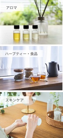 -取材、商品貸出、店舗ロケ協力のご案内-アロマのプロたちが手がける、本格的な香りが魅力のブランド／ハーブとアロマテラピー関連の事業を展開するライフスタイルカンパニー「生活の木」