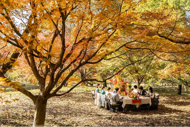 今年は直方が熱い！“花”に癒される体験プラン続々開始予定