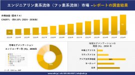 世界のエンジニアリン流体産業の概要