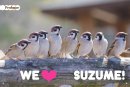 WE♡SUZUME！