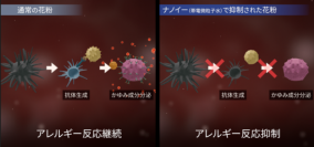 初めてナノイー(帯電微粒子水)技術による花粉アレルギー反応の抑制効果を細胞で実証※1