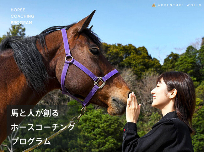 馬との対話で、セルフリーダーシップを磨くホースコーチングプログラム　２０２４年３月～１２月の開催スケジュールが決定！