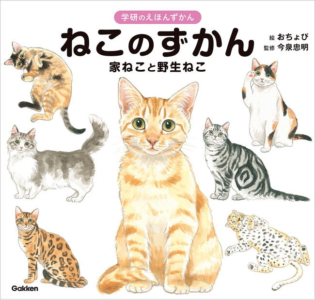＼絵本でねこにいやされたい！／ ねこのひみつがたっぷりの『ねこのずかん 家ねこと野生ねこ』発売！ もふもふだらけの絵本のような図鑑