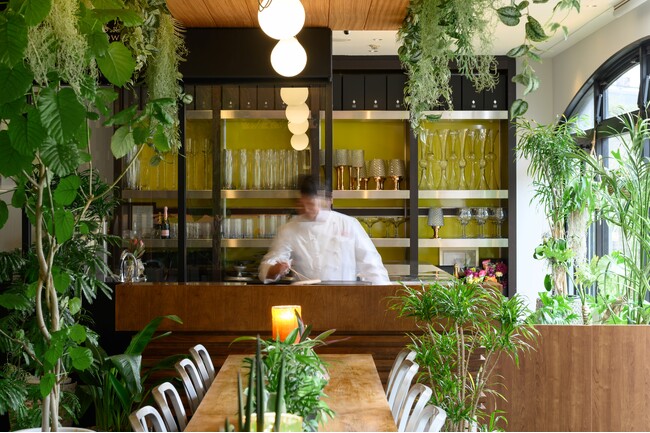 グリーンあふれる店内と開放感たっぷりのテラスでペットと一緒に楽しむガレット＆クレープ専門店「MARINA CAFE」リニューアルオープン