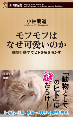 「ヒトという動物」の正体を、動物行動学の観点から解き明かす『モフモフはなぜ可愛いのか』（新潮新書）が2月17日に発売されます！