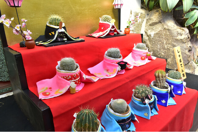 第十一回「しゃぼてんひなまつり」開催