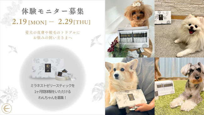 【体験モニター募集】91%が実感！ツバメの巣を愛犬に。
