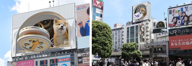 屋外広告専門のヒットが『クリエイティブ制作と放映のセット申し込みで放映回数2倍キャンペーン』を実施