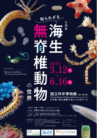 【国立科学博物館】企画展「知られざる海生無脊椎動物の世界」開催のお知らせ