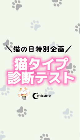 猫の日（にゃんにゃんにゃんの日）イベント・あなたのねこタイプ診断開催決定！