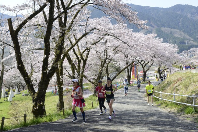 関東屈指の2,500本の桜並木の中を走って健康増進！「第4回さがみ湖さくらラン＆ウォークinプレジャーフォレスト」3/31(日)開催