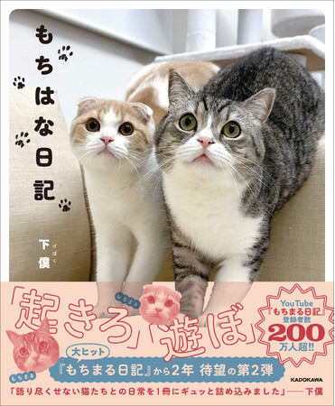 ギネス記録を持つ人気猫もちまるに、弟はなまるを迎えた写真集が登場！ かわいさ2倍、楽しさ2倍、面白さ2倍の1冊『もちはな日記』が2024年2月22日（木）猫の日に発売