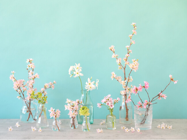 花言葉は「精神の美」日本の春の風物詩、桜。送別や卒業、合格のギフトにもおすすめのアイテムを展開