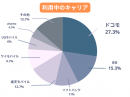 利用中のキャリア