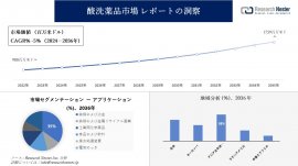 酸洗薬品市場