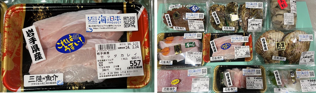 「三陸の魚介」を通して岩手の海を考えよう！田清魚店×海と日本プロジェクトin岩手 地元高校書道部の書が特別パッケージで発売開始！