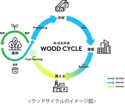 豪州で植林および炭素クレジット創出事業へ初進出 ~事業の多角化で脱炭素へ貢献~
