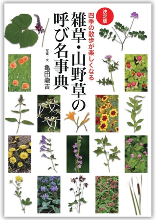 「あの花、名前は何だろう？」 植物観察に興味を持った方へ、最初の1冊に最適な書籍『決定版　雑草・山野草の呼び名事典』発売