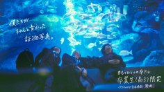 【すみだ水族館】プロ写真家が卒業生の笑顔を鮮やかに残す
特別企画「#もうひとつの卒アル」を開催